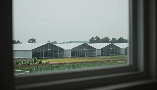 供应信息对接：性能与适用条件分析
